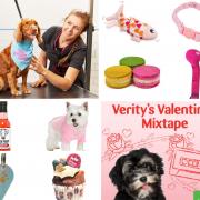 Valentine’s Day: Pets at Home gift guide. Pictures: Pets at Home/Canva