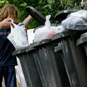 Ruling Tories in the New Forest have been accused of pushing ahead with plans to introduce wheelie bins.