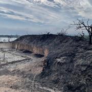 Aftermath of the Studland heath fire. Picture: Sean Davies