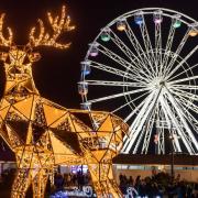 Bournemouth Christmas Tree Wonderland