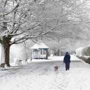 Shaftesbury in the snow