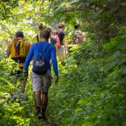 From the South Purbeck cliffs to Lyme Regis or Old Harry Rocks there are plenty of circular walks to try out around Dorset