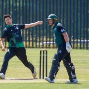 Dorset have discovered their National Counties 2024 fixtures