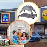 Aldi and Lidl shoppers can pick up everything from mirrors and rugs to spruce up their living space to dog beds and cat agility towers.