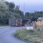 'We heard banging from the cattle': Livestock lorry overturns on roundabout