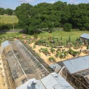 Setley Ridge Garden Centre, near Brockenhurst, has been sold for the first time in 30 years