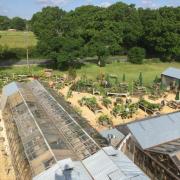 Setley Ridge Garden Centre, near Brockenhurst, has been sold for the first time in 30 years Image: Christie+Co