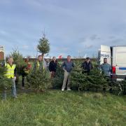 Diverse Abilities has launched its annual Treecycling service.