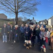 Residents rally against a proposed felling of a sycamore tree in Wareham