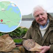 Sea monster found in Dorset subject of new Attenborough documentary