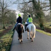 UK drivers have been told to be 'patient' when passing horses