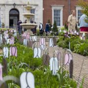 Flowers on display at Merley House