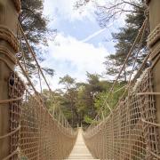 The rope bridge at The Blue Pool