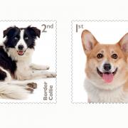 The new Royal Mail stamp collection will feature dog breeds like the Border Collie and Corgi