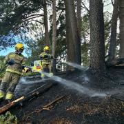 Woodland left charred after firefighters tackle blaze