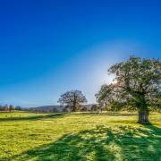 A heatwave could be on the cards for the UK in late June and early July