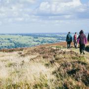 Burley Moors.