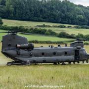 Chinook in Bere Regis