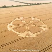 Mystery crop circle appears in Dorset