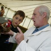 Fordingbridge Show at Godshill - Poultry judge Rodney Wood takes a look at a Belgian barbud-anvers hen with visitor Max Burns.