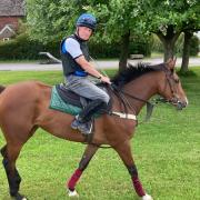 Bob Bracken will compete in Newmarket Town Plate on August 24.