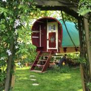 ‘Unique’ New Forest glamping listed as outstanding site