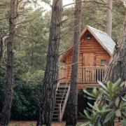 One of the existing Blue Pool tree houses