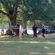 Balmer Lawn at Brockenhurst was cordoned off by police after the area was left littered with sharp objects