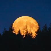 Sturgeon supermoon over the New Forest