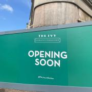 The Ivy is opening soon