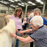 Residents from Moors Manor care home visited Riding for the Disabled - Wilton Group