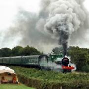 Adams T3, 563, approaching Harmans Cross station on the Swanage Railway.