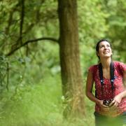 Woman birdwatching and exploring woodland, Sherwood Forest National Nature Reserve, Nottinghamshire, July