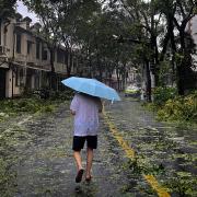 A man carrying an umbrella walks past fallen tree branches on a street in Shanghai, China, in the aftermath of Typhoon Bebinca (Chinatopix Via AP)