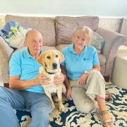 Linda Hudswell and her husband Don live in a cosy bungalow in Broadstone with their 20-week-old lovable and excitable Labrador guide dog puppy, Vesper.