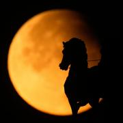 The supermoon rose behind a horse statue at the Triumphal Arc during a partial lunar eclipse in Moscow (AP)