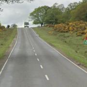 Roger Penny Way in the New Forest