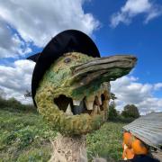 Pumpkin picking at Bickton Manor Farm, Fordingbridge