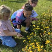 St Marys School Nature Day