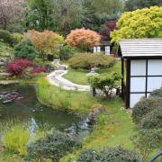 Features of Kingston Lacy's Japanese tea garden includes 