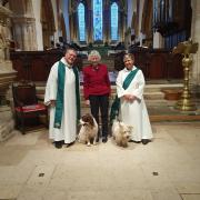 Wimborne minster animal blessing