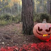 Halloween trail at Moors Valley Country Park in Dorset