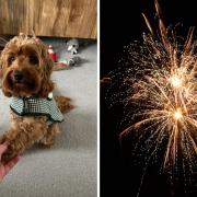 Making a 'comfort corner' for Florence helped to settle her when fireworks went off