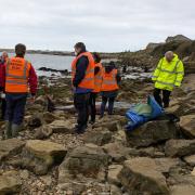 Rare deep sea whale washes up on Dorset beach