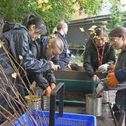 Tree planting at Talbot Heath School