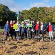 Children from Brockenhurst Church of England Primary School and William Gilpin Church of England Primary School at the New Forest Showground helping to plant the ‘mini-forest’