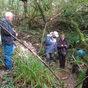 National Trust staff monitor stream flow.