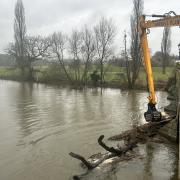 Tree being removed in Blandford