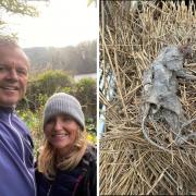 Declan Murphy-Keane with wife Michelle, and the mummified cat