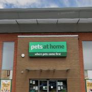 Officers were alerted to reports of a burglary at Pets at Home in Gillingham.